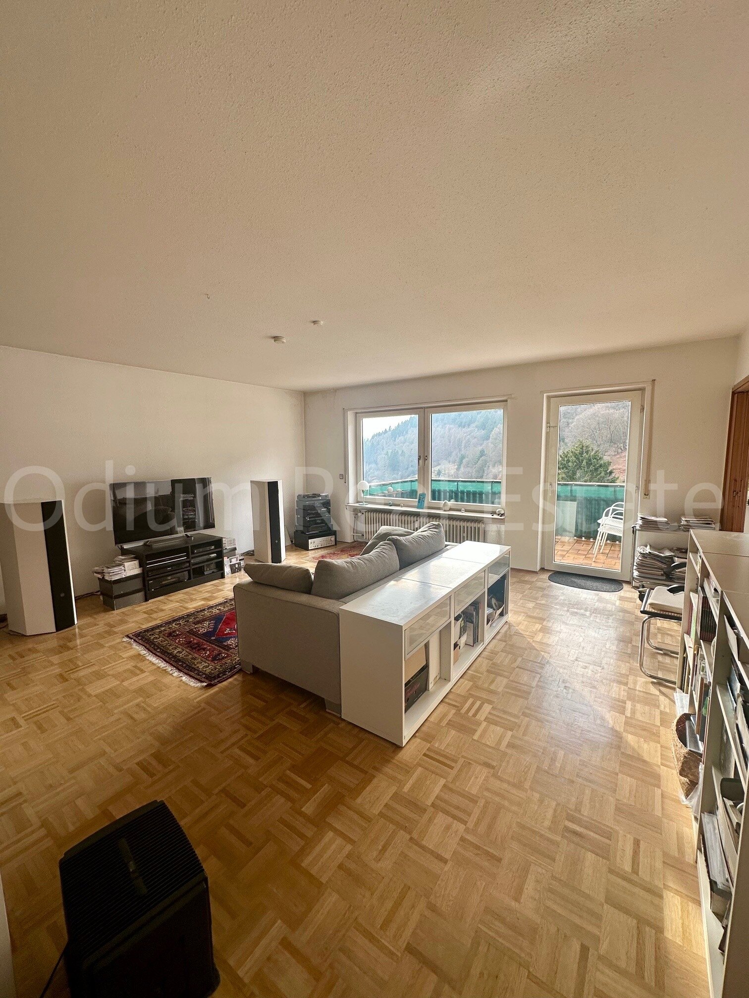 Geräumige Wohnung in idyllischer Lage Heidelbergs Geräumige Wohnung in idyllischer Lage Heidelbergs